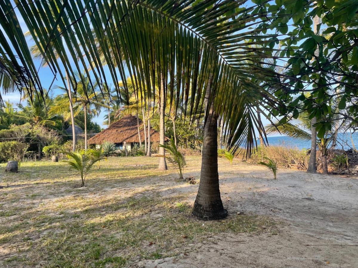 Embedodo Beach House, Ushongo Beach, Pangani Ushongo Mabaoni Zewnętrze zdjęcie